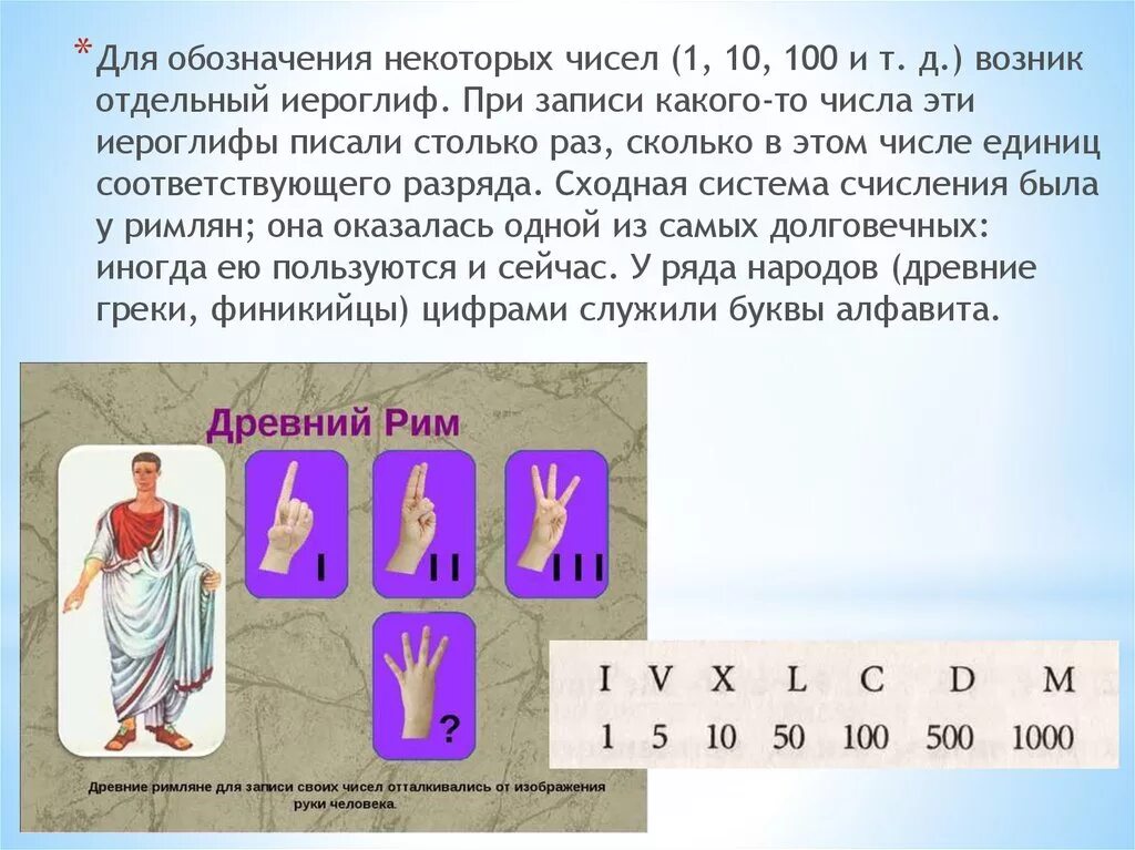 История чисел информация. История цифр. История возникновения чисел. Происхождение цифр и чисел. История происхождения цифры 1.