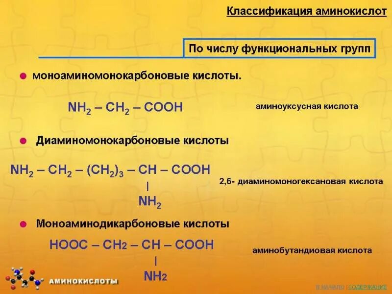 Какие функциональные группы аминокислот