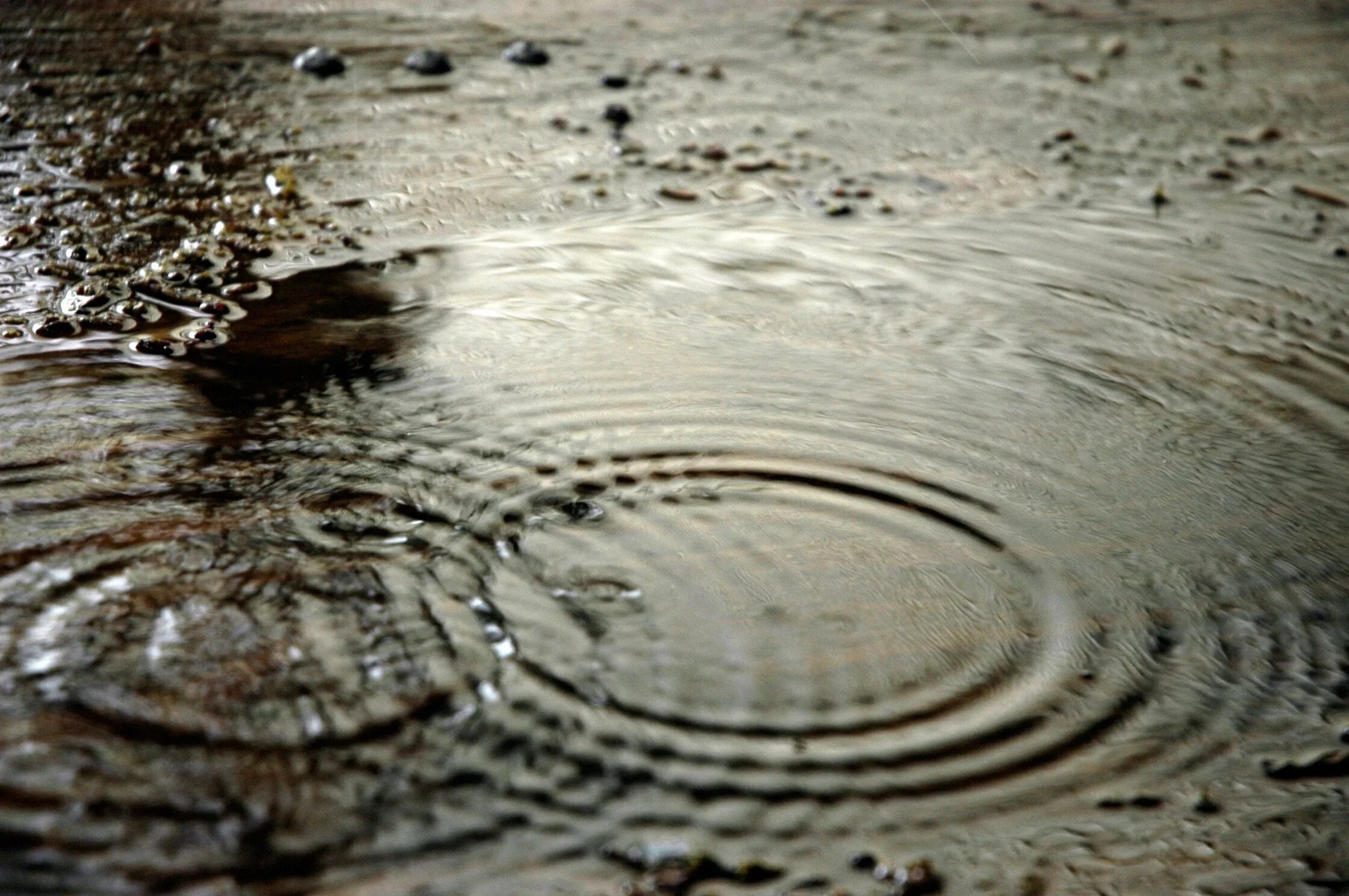 Лужа воды. Вода на асфальте. Дождь лужи. Лужа на земле. Везде лужи воды