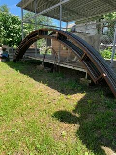 Arch 8