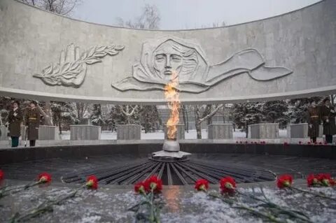 Защитники ростова на дону