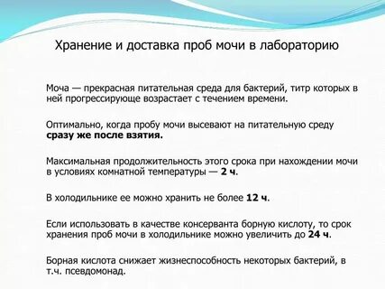 Сколько времени хранить мочу для анализа