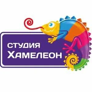 Студия хамелеон
