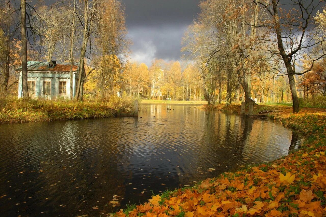 Царское озеро. Царское село парк осенью. Александровский парк Царское село осень. Царское село осенью Александровский парк. Царское село Александровский парк пейзажный парк.