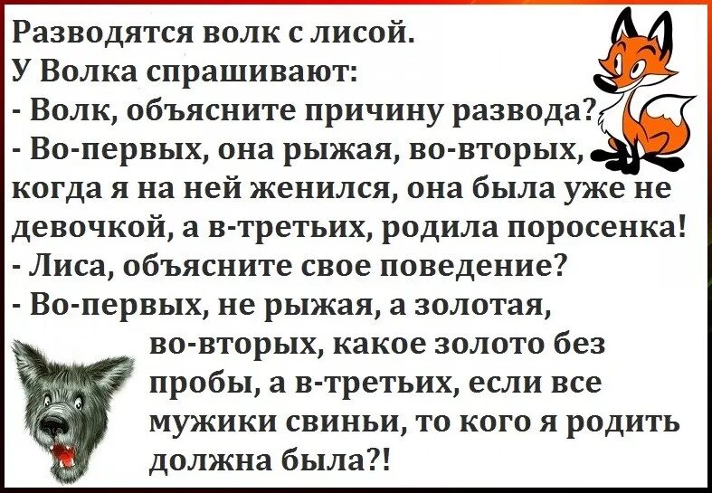 Анекдоты самые смешные животные