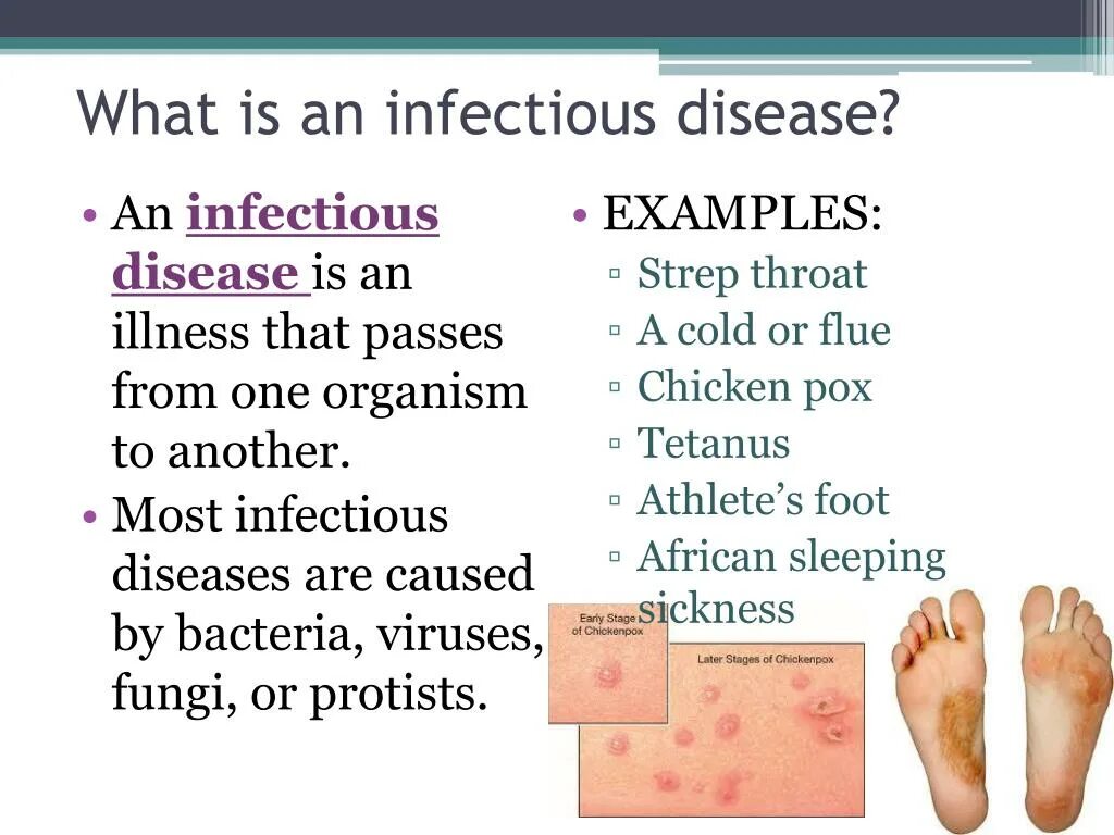 Non-communicable diseases. Communicable disease.