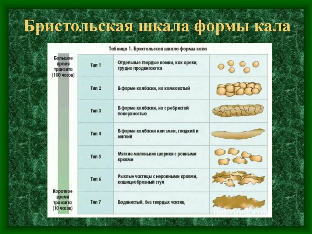 Почему кал жирный. Бристольская шкала формы стула Тип 2. Бристольская шкала формы кала. Бристольская шкала формы кала pdf. Бристальная школа кала.