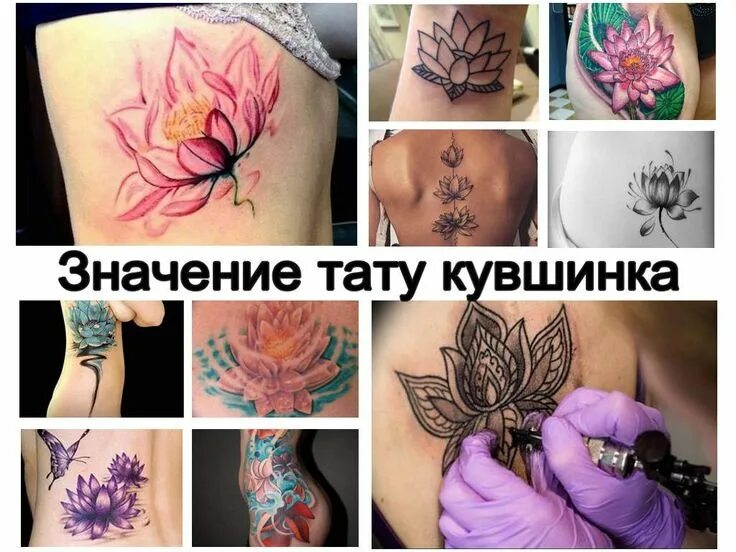 Цвета в тату значение. Тату кувшинка. водяная лилия тату. значение тату. тату кувшинка значение для девушек.