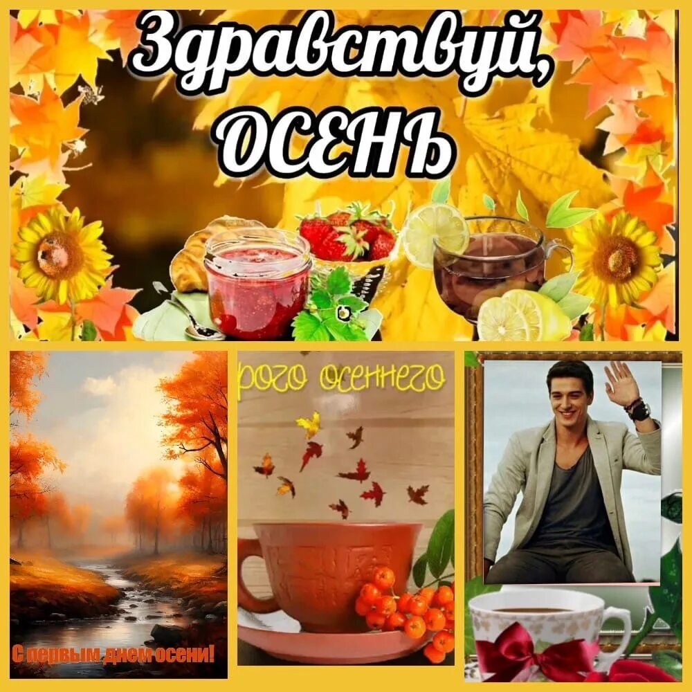 Поздравление с добрым осенним утром видео. Доброго осеннего утра и хорошего настроения. доброе осеннее утро сентября. открытки с добрым утром осенние с 1 сентября. доброе осеннее утречко и хорошего.
