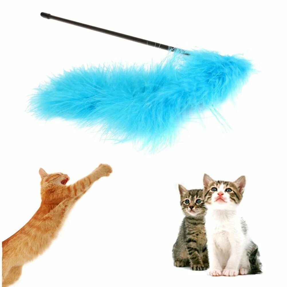 Игрушки для кошек с перьями. Палка для кошек. Игрушка для кошки. Игрушка для кошки на палке. Игрушка «котенок».