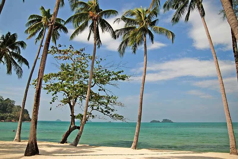 Путевка ко чанг. Тайланд ко чанг. чанг (остров). остров ко чанг фото. ко чанг таиланд фото.