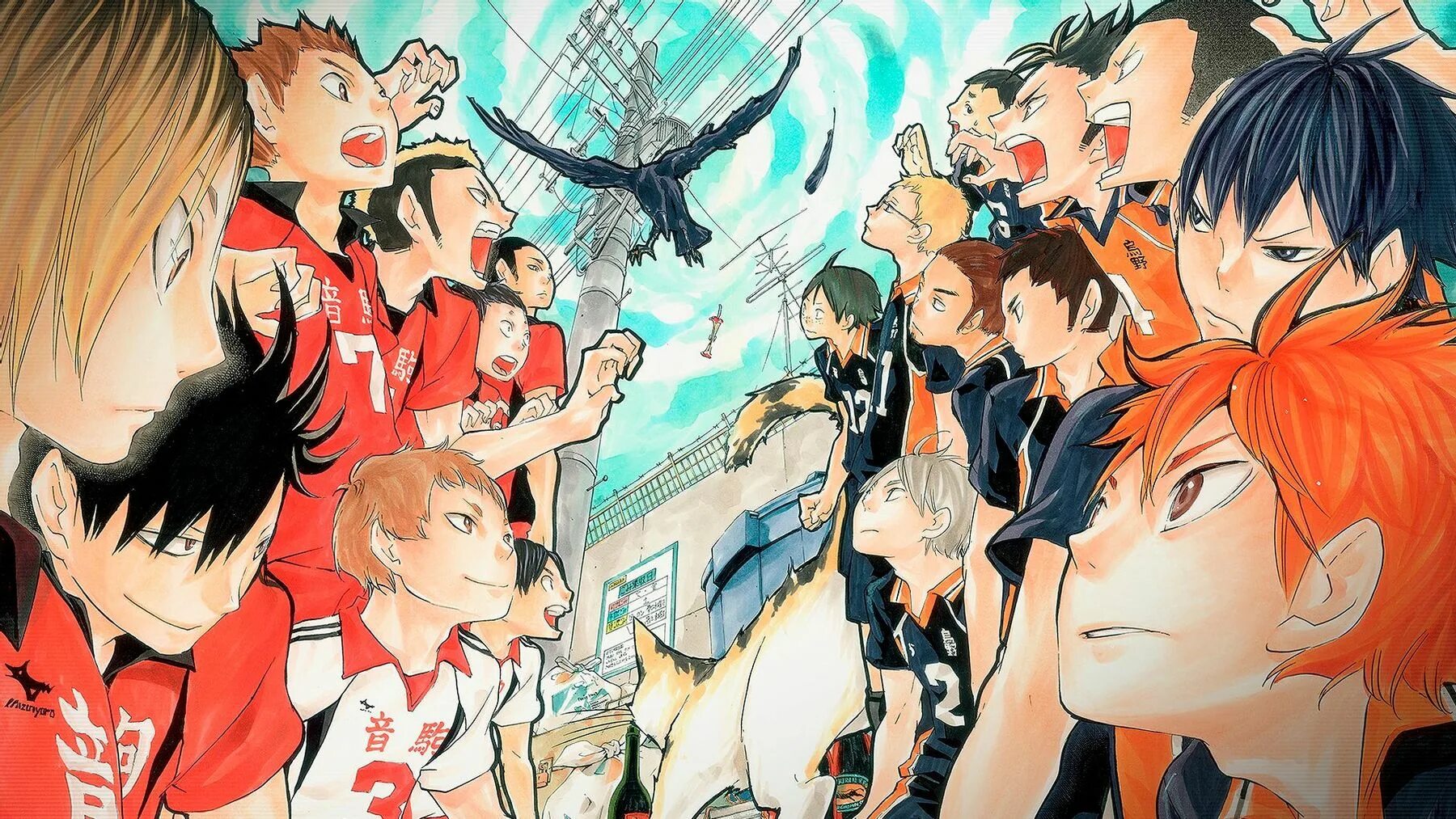 Карасуно Кагеяма. Волейбол Haikyuu.