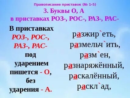 Приставки роз без
