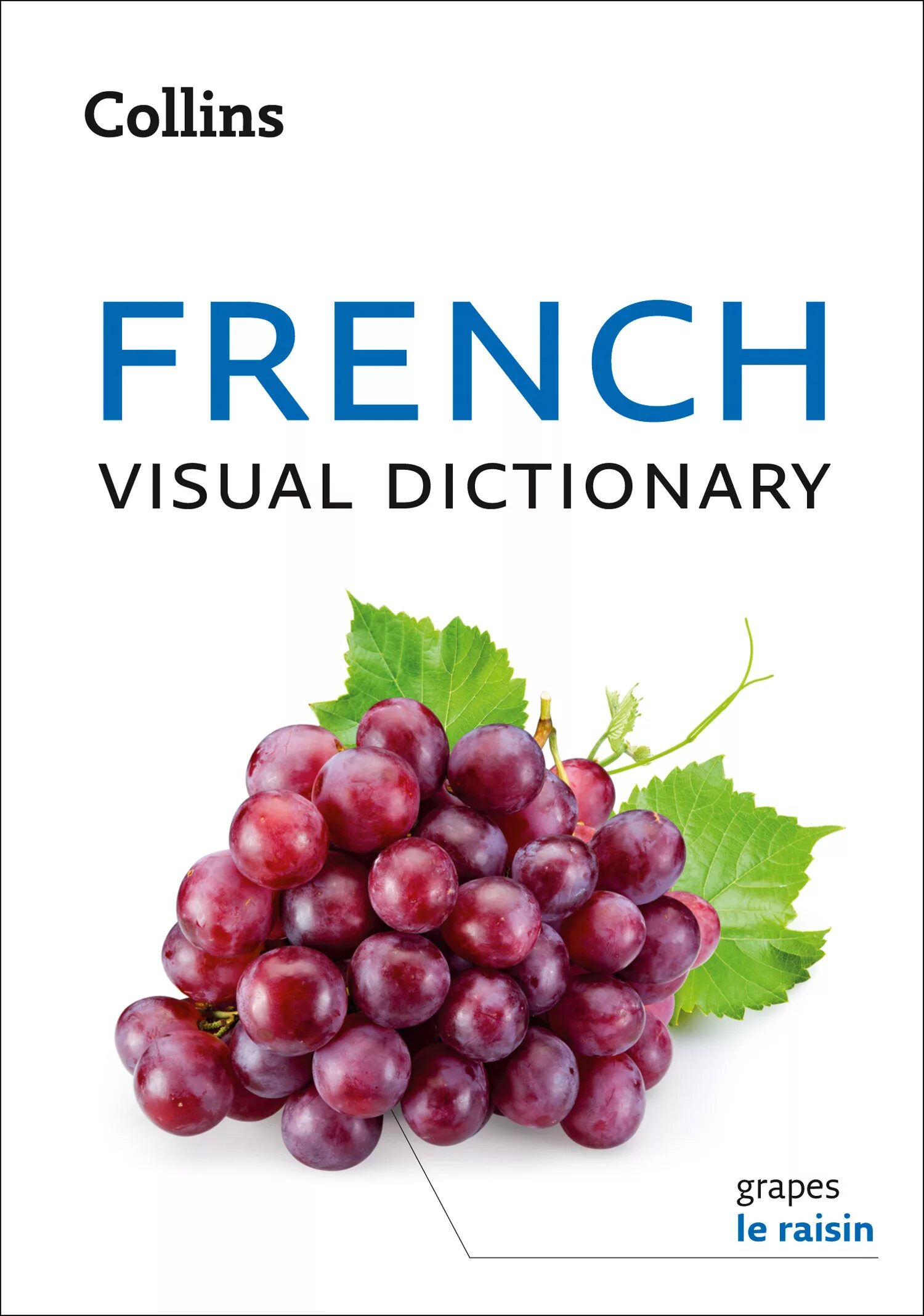 French dictionary. Visual Dictionary. Collins English-French Dictionary. French English Visual Dictionary. Visual Dictionary книга.