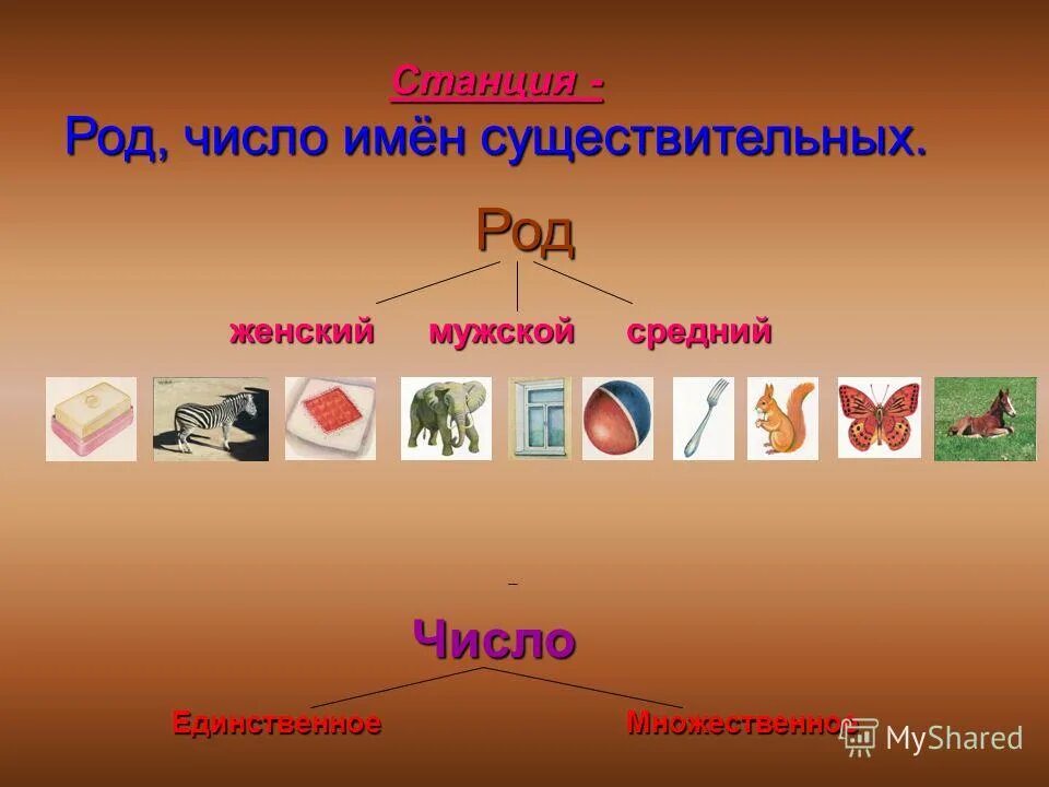 станция какой род. определи род имен существительных. станция какой род. род имен существительных 5 класс. гэс род аббревиатуры.