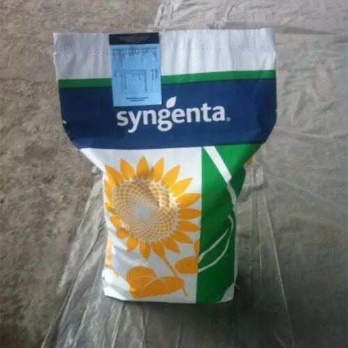 сингента суматра подсолнечник. семена подсолнечника сингента. нк конди семена подсолнечника. семена подсолнечника нк неома круйзер. семена подсолнечника сузука.