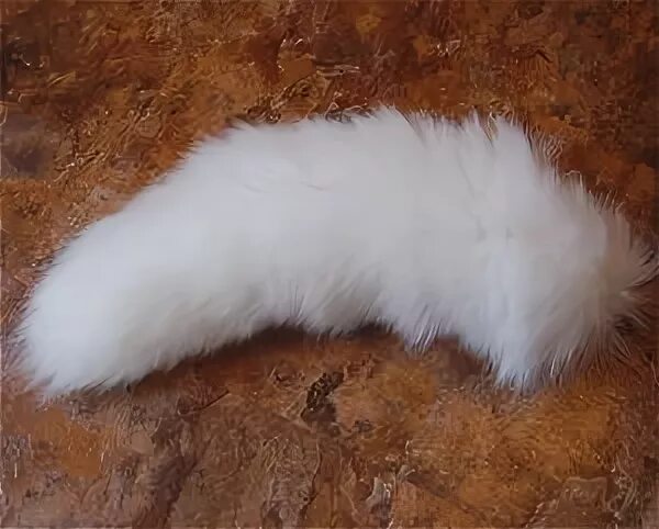 заячий хвостик. беличий хвост. хвост волка костюм. заячий хвост. хвостик беленький.