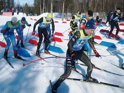 Лыжный спорт в кольском
