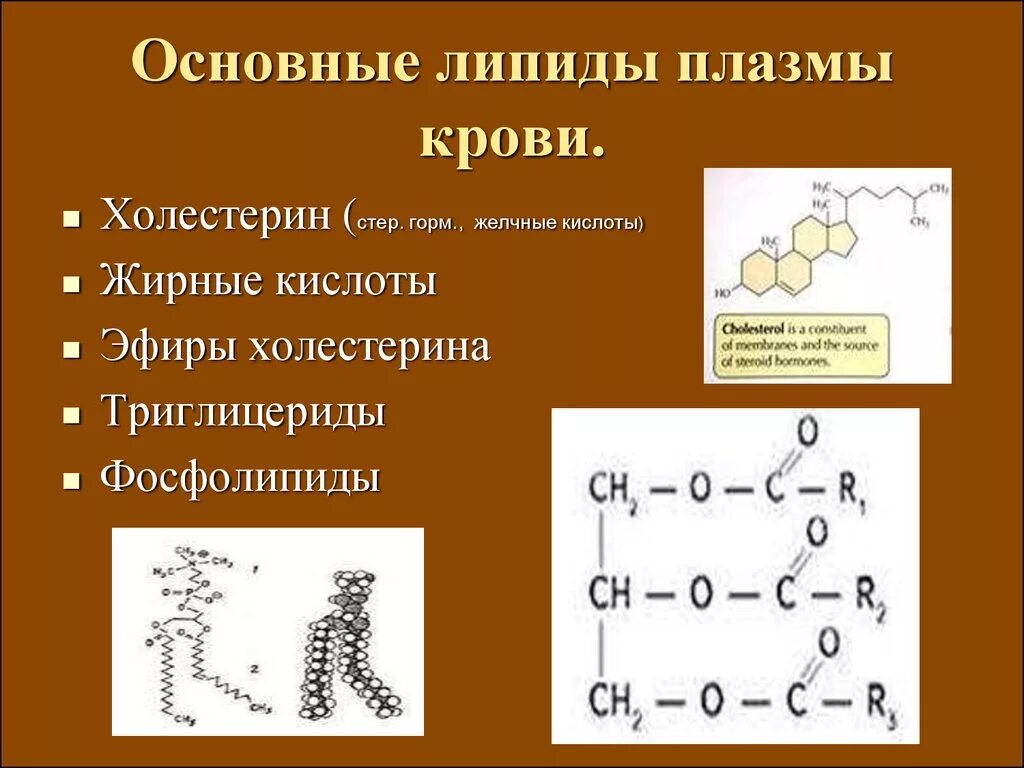 Функции липидов фосфолипиды холестерин. Химическая структура липидов. Общая характеристика липидов. Сложные липиды формула.