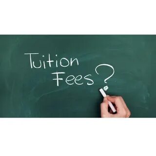 Other fees