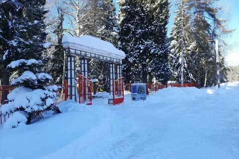 Городской парк шарья