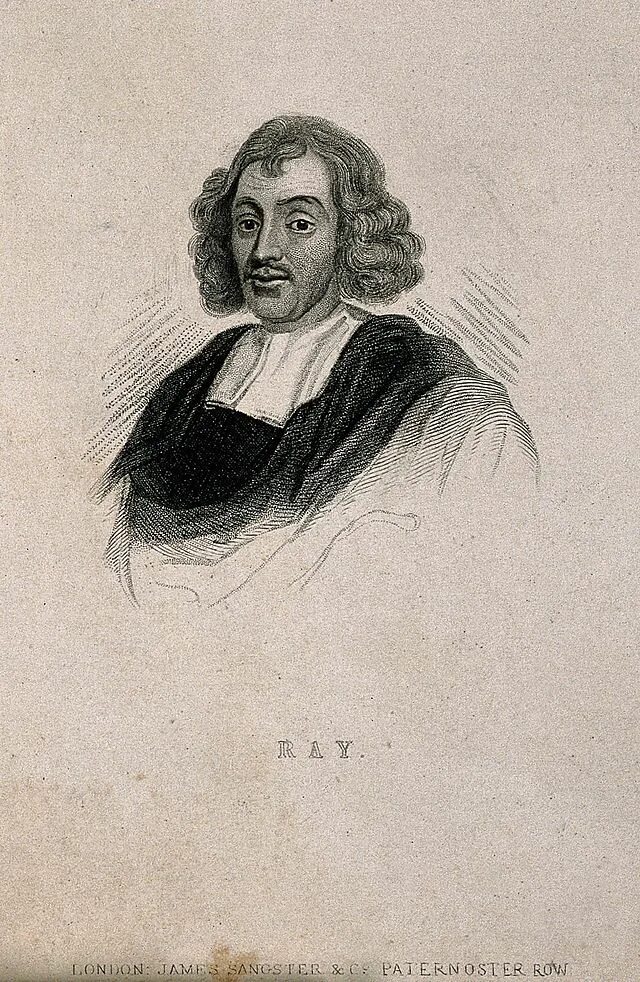 John ray. Джон рей (1627—1705). John ray. John ray. Английский биолог джон рей.