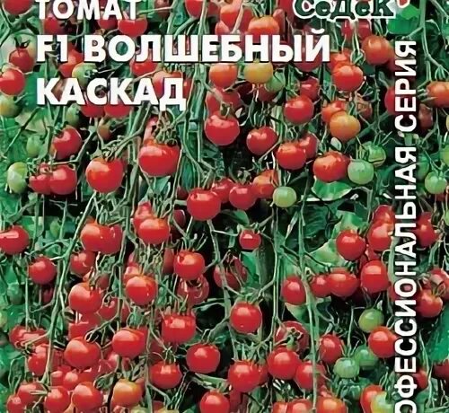 Волшебный каскад томат описание. Томат черри каскад. томат волшебная арфа f1. томат &quot;волшебный каскад f1&quot; со сладким вкусом, 0,05 г. сорт помидор волшебный каскад.