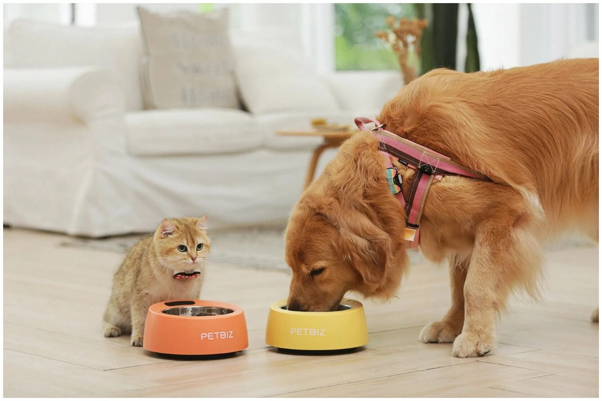 умная миска для животных pawbby smart pet bowl. миска hunter smart на цветной подставке коричневая в белый горох 160 мл. миски hunter на штативе 2шт 2. умные миски. миска для животных petkit smart antibacterial bowl белый (p510).