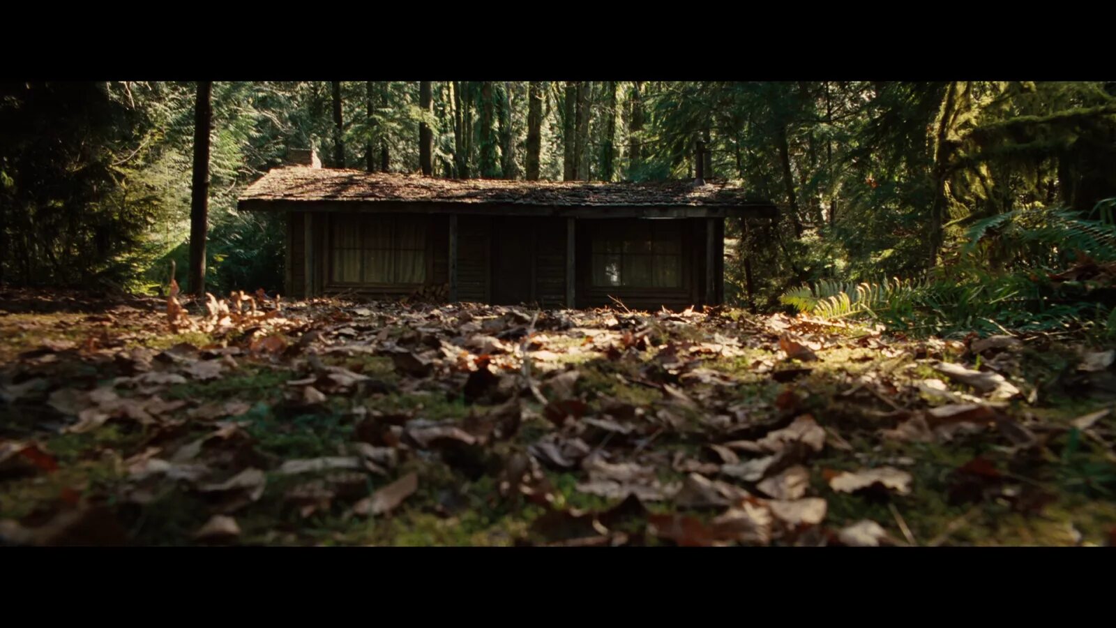 Хижина новая глава. Хижина в лесу (2012, реж. Д.Годдард). Брэдли Уитфорд Хижина в лесу. Хижина в лесу (Дрю Годдард, 2011).