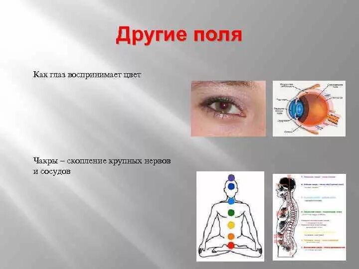 Какие цвета воспринимает глаз. Какие цвета воспринимает глаз