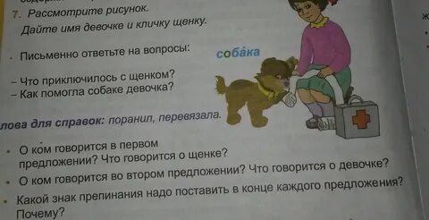 На какой вопрос отвечает собака