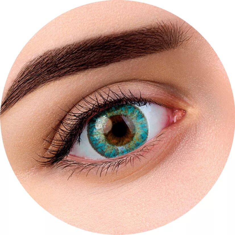 цветные линзы с диоптриями саливио. линзы crazy lens galatus. цветные линзы с диоптриями саливио. зелёные линзы для глаз с диоптриями. линзы okvision аметист.