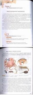 Учебник по биологии 8 класс бабенко