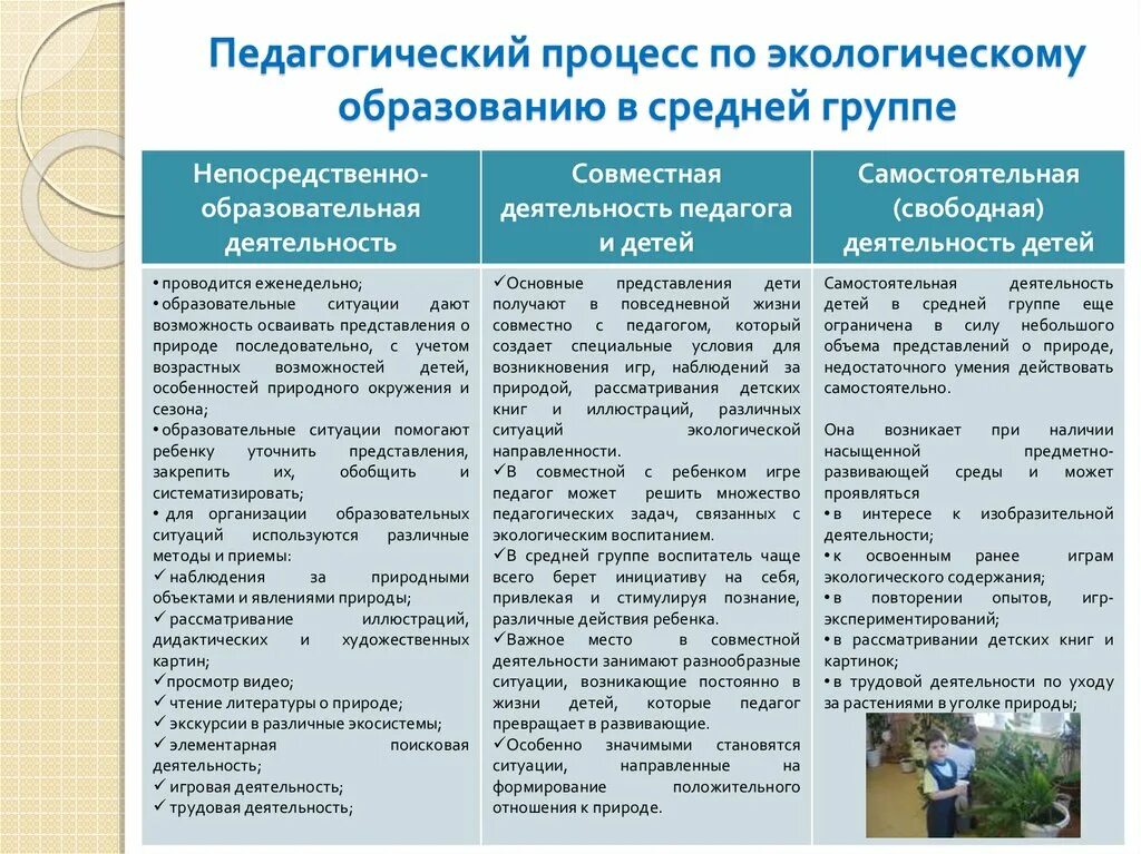 Образовательная ситуация в старшей группе