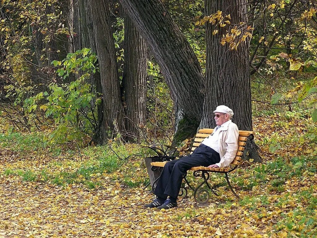 Осень мужского рода. Старик на скамейке в парке. Старики на лавочке в парке. Старики в осеннем парке. Человек на скамейке.