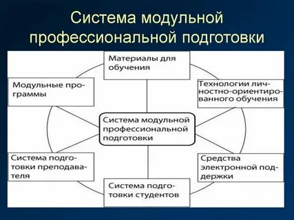 Система профессиональной поддержки