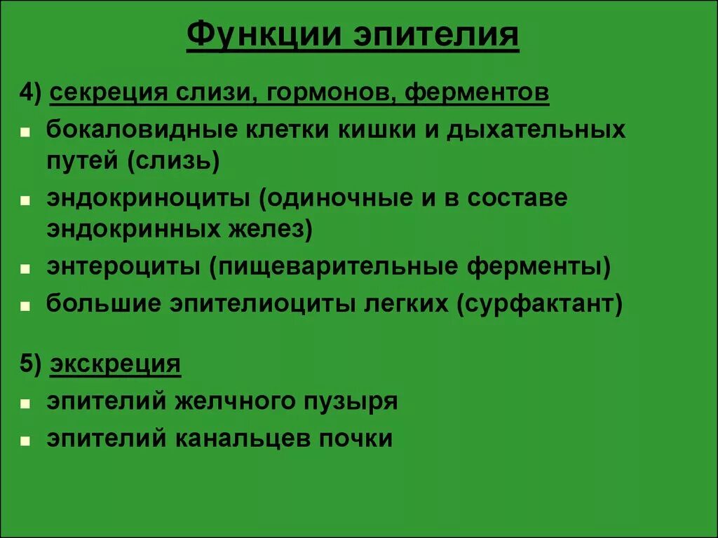 Функции эпителия. Секреторная функция эпителия. Секреторная функция эпителиальной ткани. Эпителиоциты их функции.