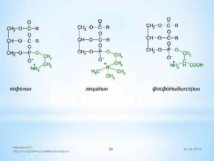 Фосфатидилэтаноламин кефалин. Альфа кефалин. Лецитин и кефалин формулы. Лецитин структура химическая. 1 щелочной гидролиз изопропилацетата