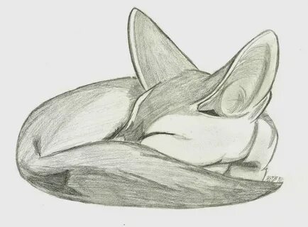 Рисунок лисы карандашом