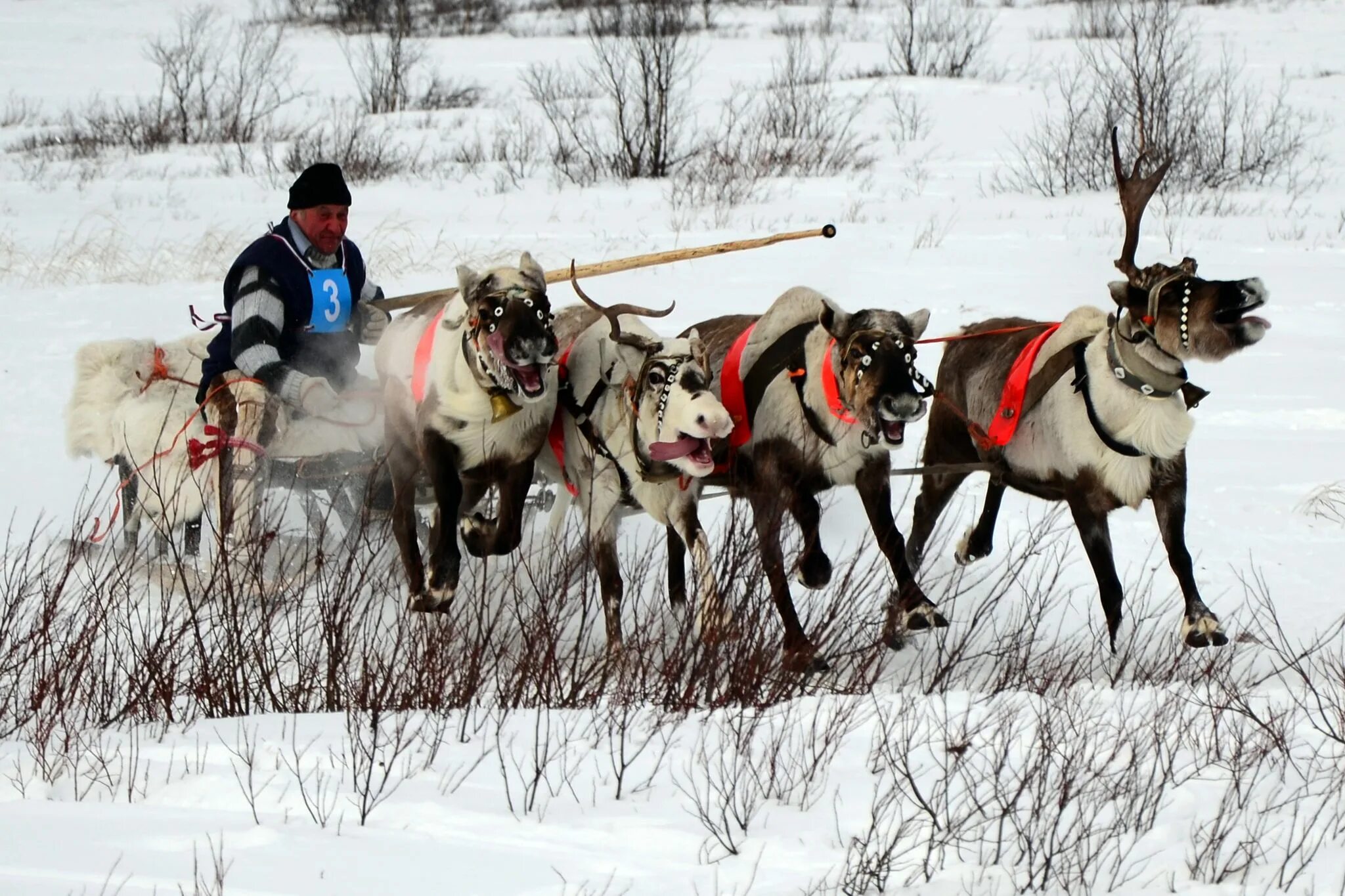 село териберка кольский полуостров. карта мурманской области с районами. погода ловозеро мурманская область норвежский сайт. районы мурманской области. прогноз погоды оленегорск мурманской области на неделю.