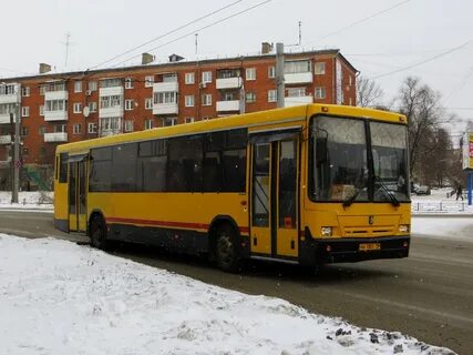 31 автобус ижевск