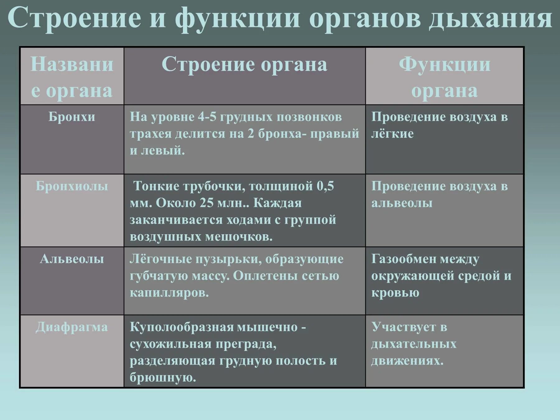 Дыхание таблица 8 класс биология. Органы дыхания и их функции таблица 8 класс биология. Органы дыхания особенности строения и функции таблица. Таблица по биологии 8 класс органы дыхания. Органы . Функции , строение органов дыхания таблица биология 8 класс.