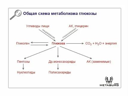 Энергетические углеводы