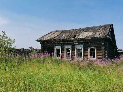 Село пили