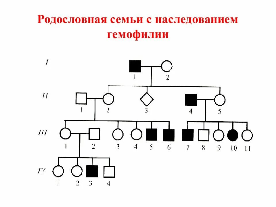 Родословная схема семьи с наследованием гемофилии. Родословная генетика с гемофилией. Родословная с заболеваниями по генетике. Гемофилия Тип наследования признака.