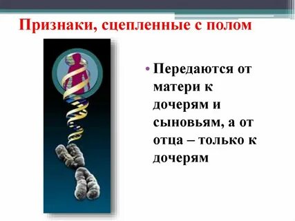 Что такое наследование сцепленное с полом