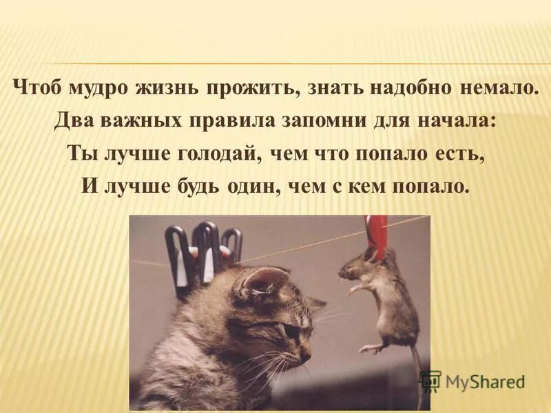 чтоб жизнь прожить знать. два важных правила. два главных правила запомни. два важных правила запомни для начала. чтоб мудро жизнь прожить.