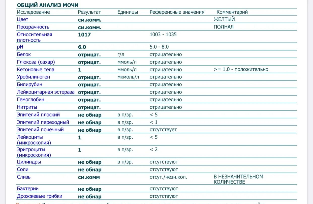 Отсутствие белка в моче. Общий анализ мочи норма. Общий анализ мочи какое исследование. Общий анализ мочи кровь в моче норма. Показатели микроскопического исследования мочи в норме.