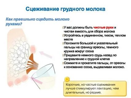 Можно ли закапать грудным молоком