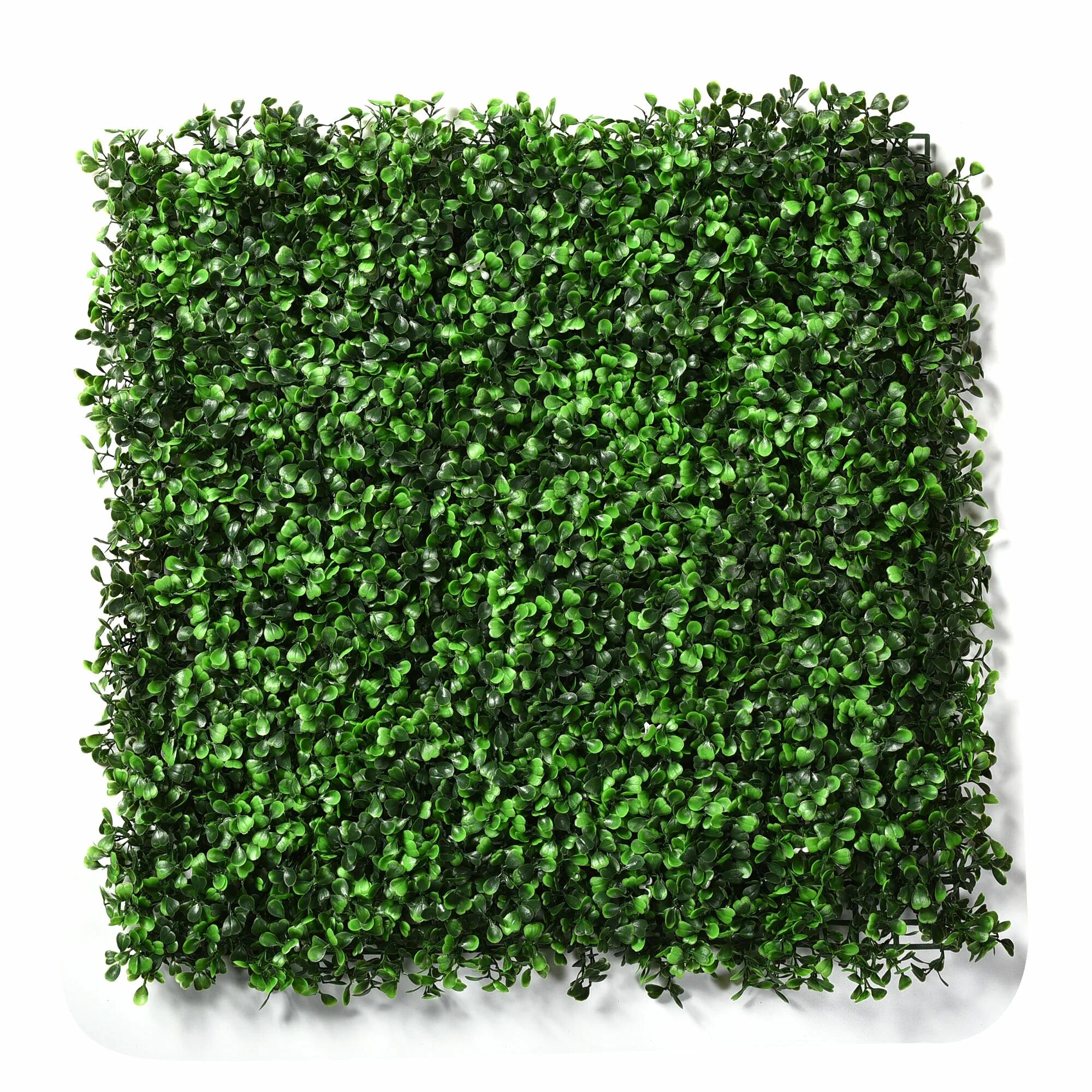 Фитостена самшит. Зеленая изгородь самшит искусственный. Искусственная зелень. Панели с искусственной зеленью.